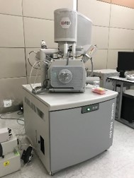 环境扫描电子显微镜 Quanta 650 FEG